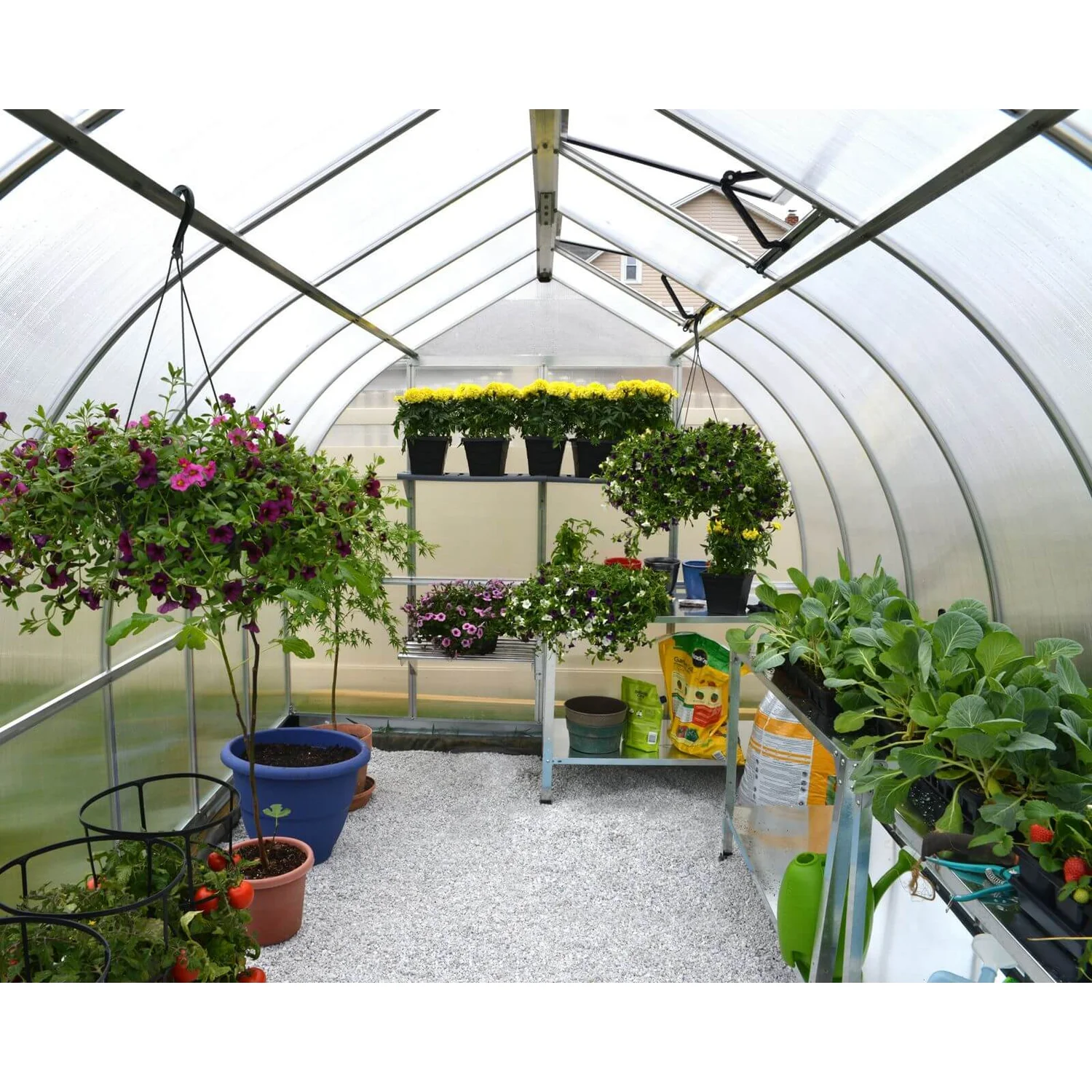 Palram 8 X 12ft Canopia Bella Greenhouse - Silver 5 Palram 8 X 12ft Canopia Bella Greenhouse - Silver - Image 5