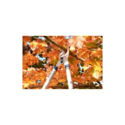 Spear & Jackson Razorsharp Tele Bypass Lopper -Garden Decorations and Ornaments Store 12810811 1464833196929633