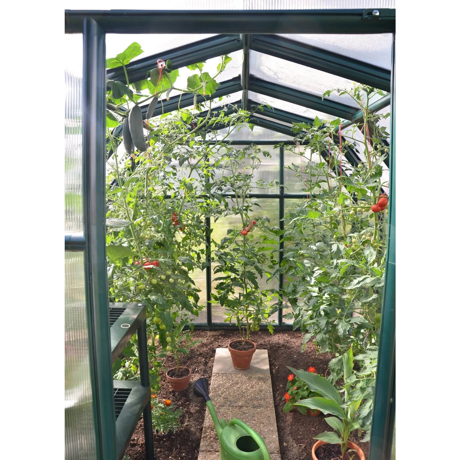 Palram 6 X 8ft Canopia Eco Grow Greenhouse - Green 10 Palram 6 X 8ft Canopia Eco Grow Greenhouse - Green - Image 10