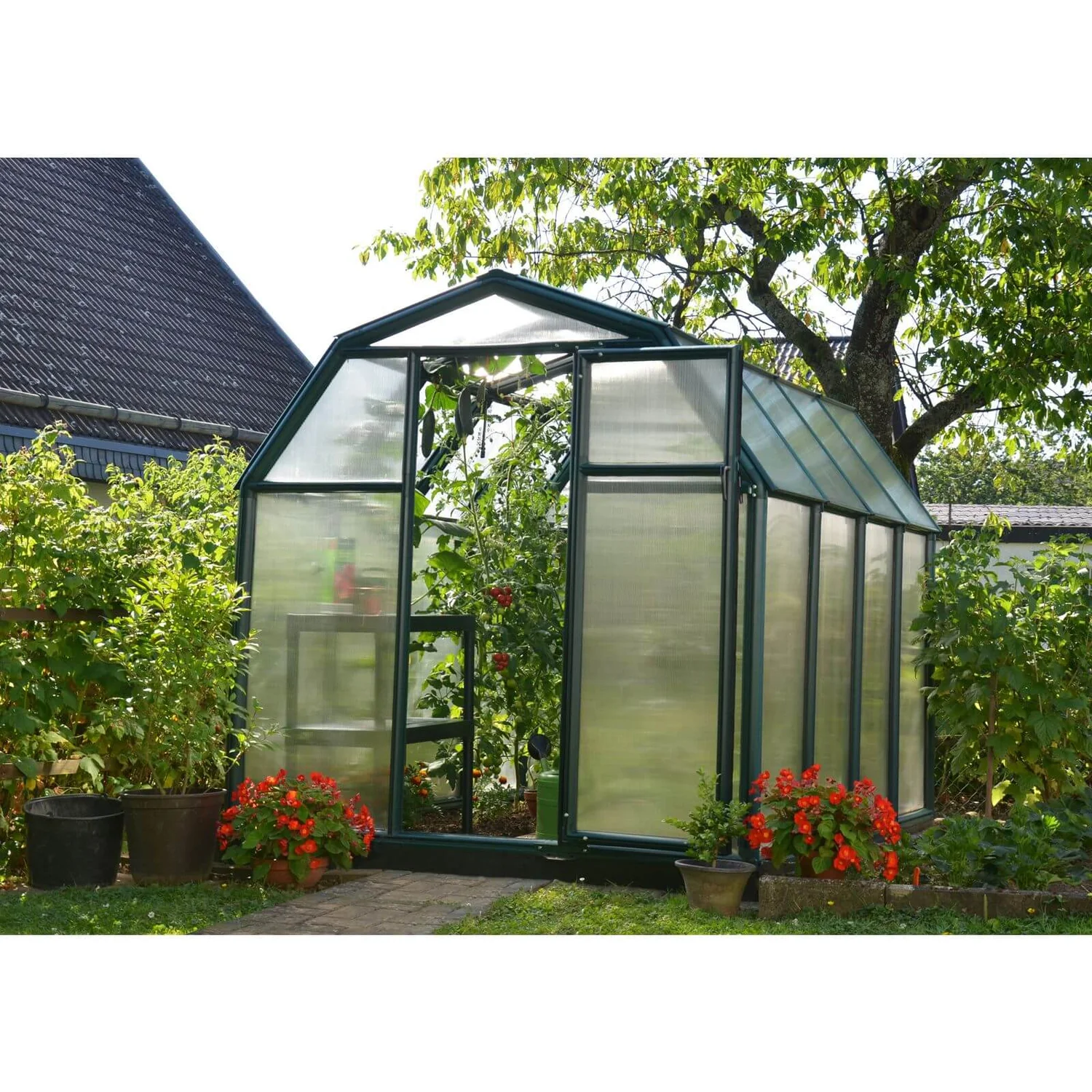 Palram 6 X 8ft Canopia Eco Grow Greenhouse - Green 4 Palram 6 X 8ft Canopia Eco Grow Greenhouse - Green - Image 4