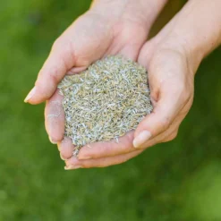 Westland Safe Lawn Natural Lawn Feed - 150m² -Garden Decorations and Ornaments Store 12814336 1595061828066483