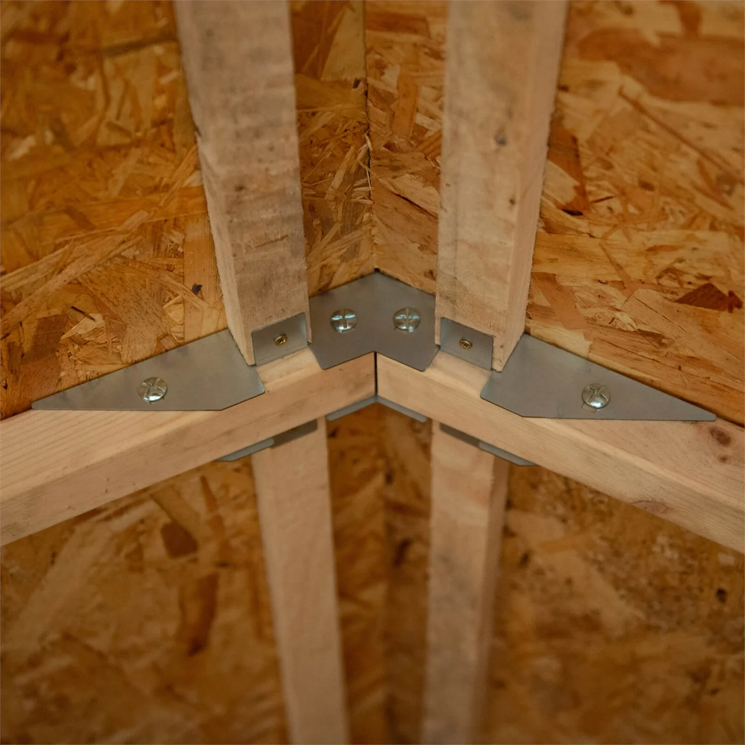 Forest 8 X 6ft Overlap Pressure Treated Apex Shed - Double Door - Incl. Installation 6 Forest 8 X 6ft Overlap Pressure Treated Apex Shed - Double Door - Incl. Installation - Image 6