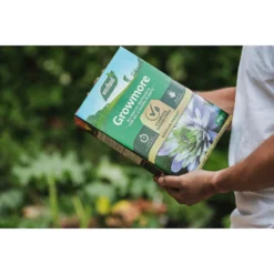 Westland Growmore Balanced Garden Fertiliser For All Plants - 4kg -Garden Decorations and Ornaments Store 12823493 2324971590484909