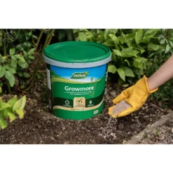 Westland Growmore Plant Food - 10kg -Garden Decorations and Ornaments Store 12829902 7774971590491911
