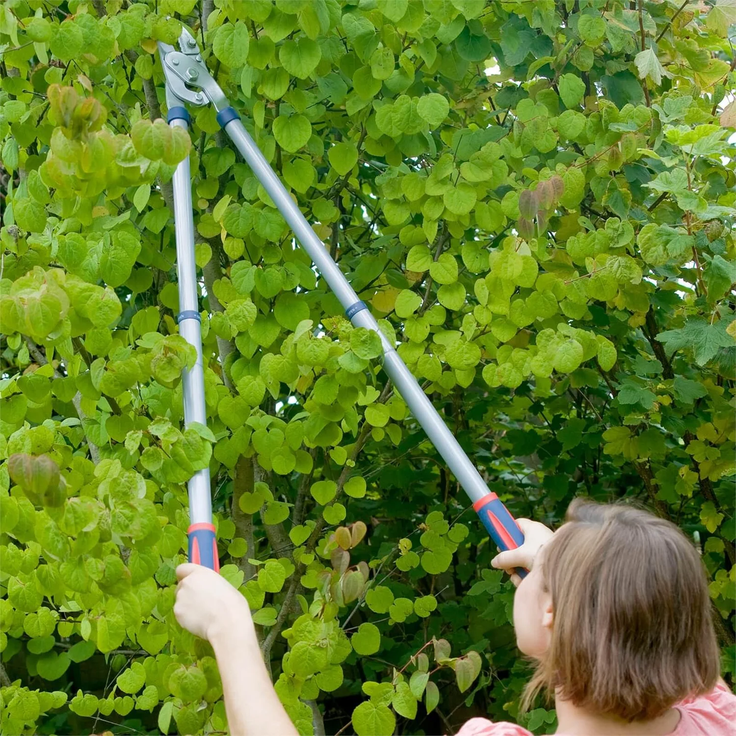 Spear & Jackson Razorsharp Tele Anvil Lopper 2 Spear & Jackson Razorsharp Tele Anvil Lopper - Image 2