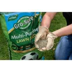 Gro-Sure Multi-Purpose Lawn Seed 375m² -Garden Decorations and Ornaments Store 12833526 1414925482132785