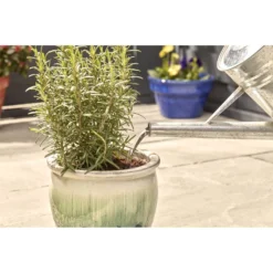 Miracle-Gro Pump & Feed All Purpose Plant Food - 200ml -Garden Decorations and Ornaments Store 12834802 8834833167206419