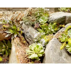 Stylish Stone Rustic Slate Rockery -Garden Decorations and Ornaments Store 12875997 6334849696657587