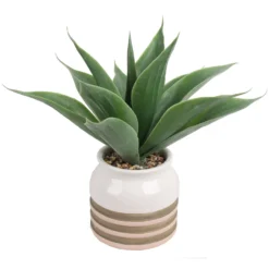 Artificial Aloe Vera In Striped Pot
