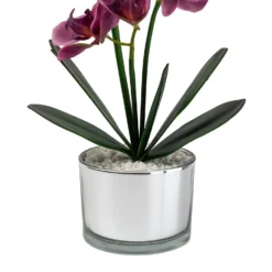 Orchid With Silver Glass Pot - Purple -Garden Decorations and Ornaments Store 12879285 1054864281948609