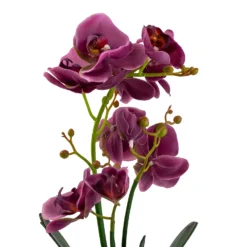 Orchid With Silver Glass Pot - Purple -Garden Decorations and Ornaments Store 12879285 2084864281975504