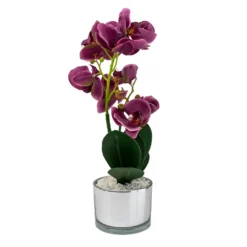 Orchid With Silver Glass Pot - Purple -Garden Decorations and Ornaments Store 12879285 4804864281923592