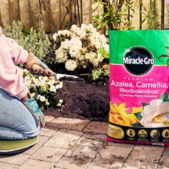Miracle Gro Premium Azalea, Camellia & Rhododendron Ericaceous Compost - 40L -Garden Decorations and Ornaments Store 12882812 1004843671886080