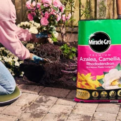 Miracle Gro Premium Azalea, Camellia & Rhododendron Ericaceous Compost - 40L -Garden Decorations and Ornaments Store 12882812 1924843671918789