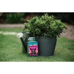 Westland Ericaceous Specialist Feed - 1l -Garden Decorations and Ornaments Store 12886482 6714971590616774