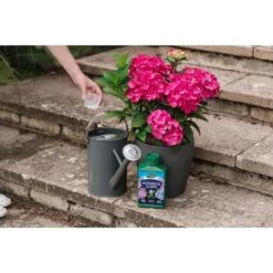 Westland Hydrangea Feed - 1l 10 Westland Hydrangea Feed - 1l -Garden Decorations and Ornaments Store 12886486 1744971590629542