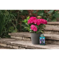 Westland Hydrangea Feed - 1l 9 Westland Hydrangea Feed - 1l -Garden Decorations and Ornaments Store 12886486 5014971590603901