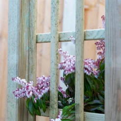 Mercia Curved Arch -Garden Decorations and Ornaments Store 12888302 6134849860614286