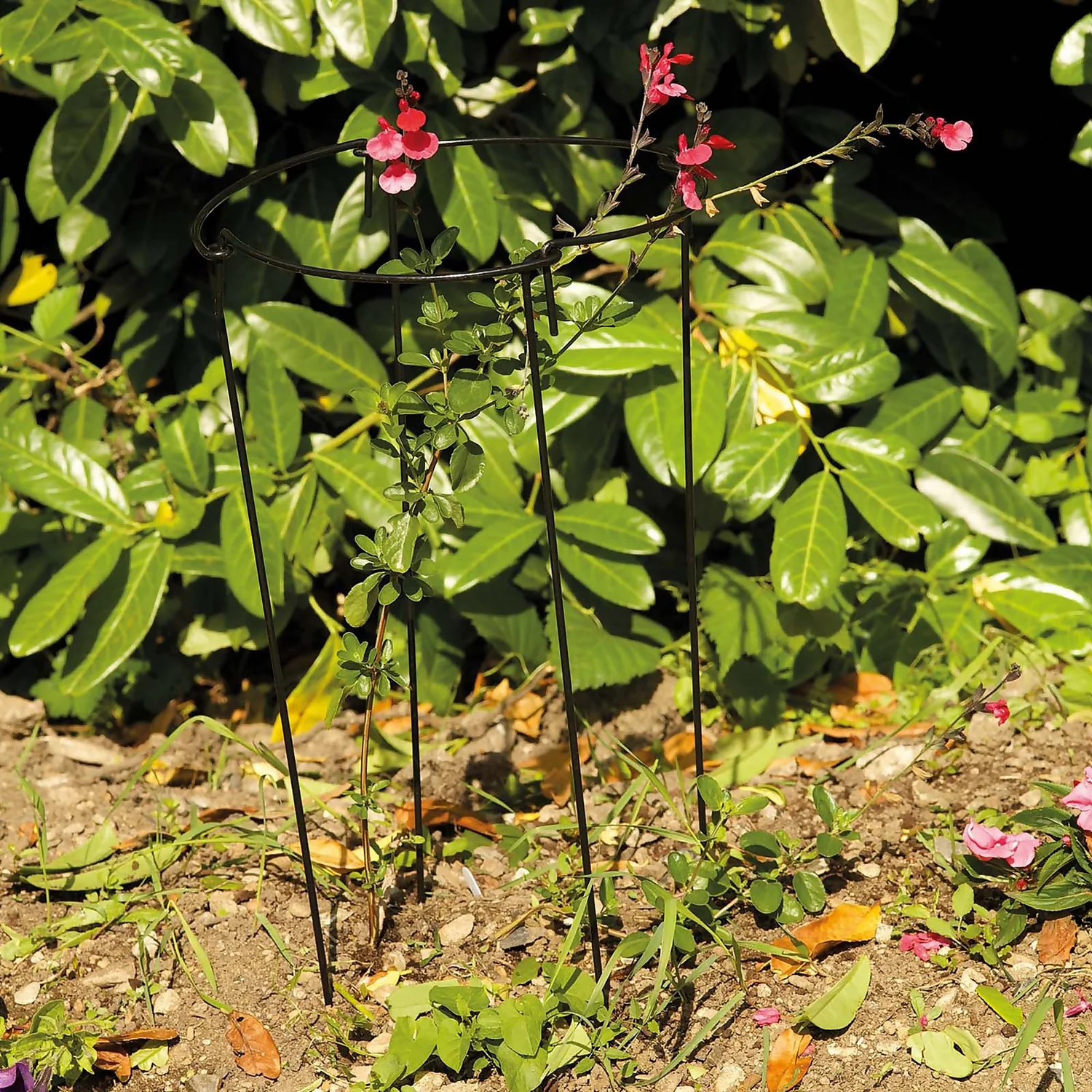 Gro-Links 20cm With 50cm Legs - 4 Pack 2 Gro-Links 20cm With 50cm Legs - 4 Pack - Image 2