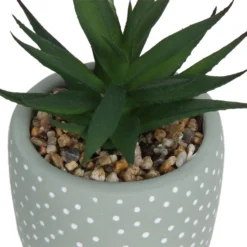 Small Succulent - Green -Garden Decorations and Ornaments Store 12909501 2094869235594320