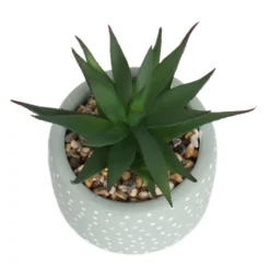 Small Succulent - Green -Garden Decorations and Ornaments Store 12909501 6844869235562523
