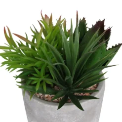 Mixed Succulent In Grey Pot -Garden Decorations and Ornaments Store 12909503 1064869235639350