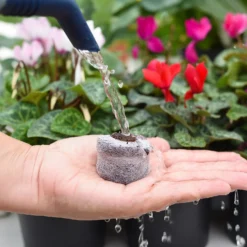 Coco & Coir Seed Germination Dots - 40mm -Garden Decorations and Ornaments Store 13487129 3894919981363337