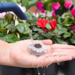 Coco & Coir Seed Germination Dots - 40mm -Garden Decorations and Ornaments Store 13487129 7814919981385408