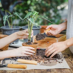 Coco & Coir Round Fibre Pot - 20cm 6 Coco & Coir Round Fibre Pot - 20cm -Garden Decorations and Ornaments Store 13487130 4344931201157651