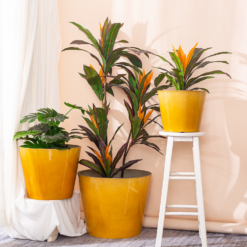 Glazed Finish Planter Mustard 40cm -Garden Decorations and Ornaments Store 13928632 1075001956273763