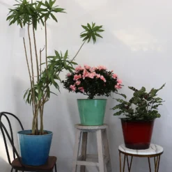 Glazed Finish Planter Mustard 40cm -Garden Decorations and Ornaments Store 13928632 3495001956393211