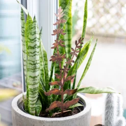 Floral Bronze Ground Stakes - 45cm (Assorted Designs) -Garden Decorations and Ornaments Store 13981009 1695005324721013