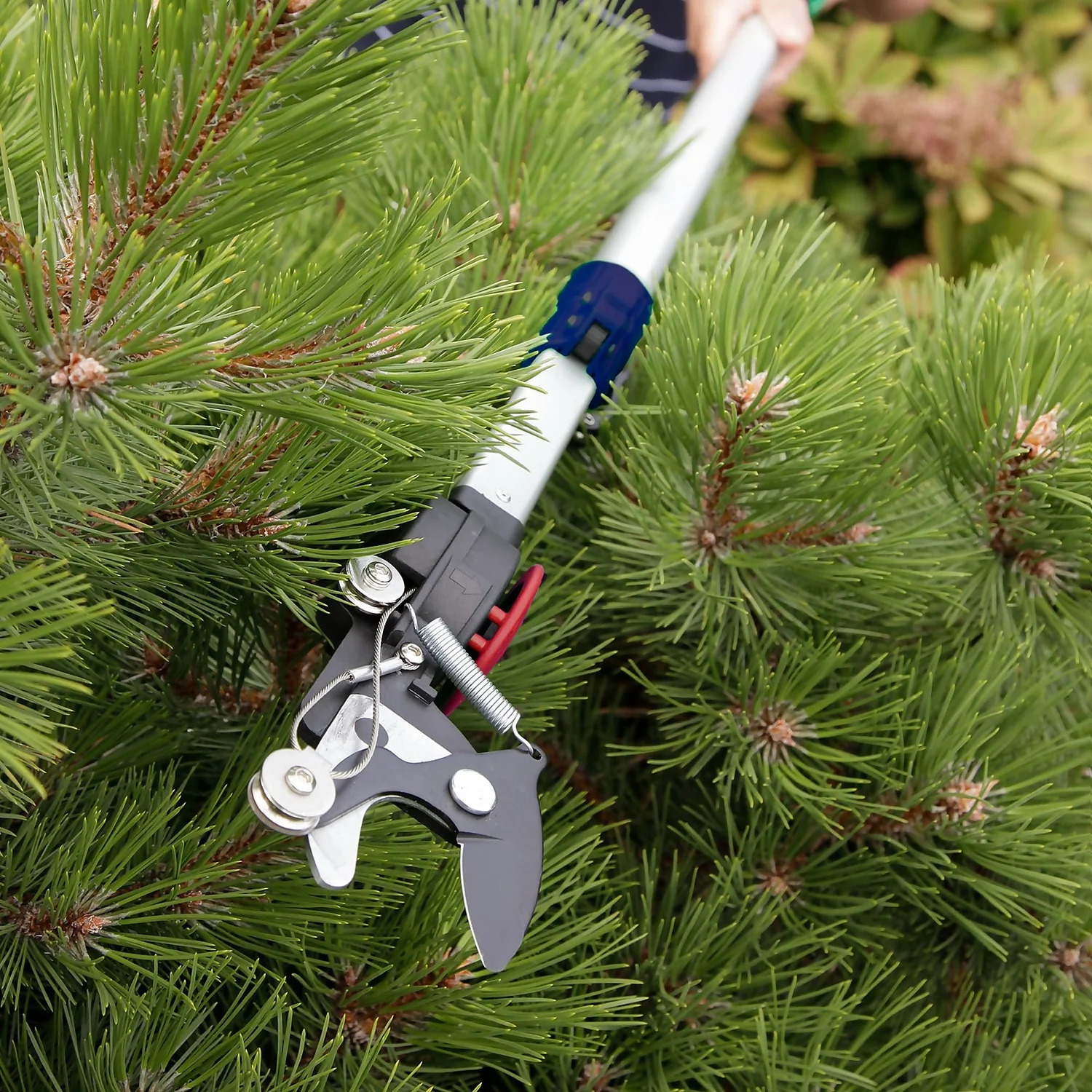 Spear & Jackson Telescopic Pruner - 3.4m 4 Spear & Jackson Telescopic Pruner - 3.4m - Image 4
