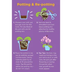 Westland Orchid Potting Mix Peat Free 8L -Garden Decorations and Ornaments Store 14013784 4815003754410304