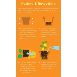 Westland Citrus Potting Mix Peat Free 8L -Garden Decorations and Ornaments Store 14013785 1645003754507372