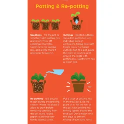 Westland Cacti & Succulent Potting Mix Peat Free 4L -Garden Decorations and Ornaments Store 14013786 1245003754031248