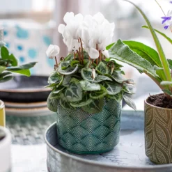 Art Deco Indoor Plant Pot - 12cm -Garden Decorations and Ornaments Store 14197411 2035024190791106