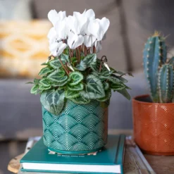 Art Deco Indoor Plant Pot - 12cm -Garden Decorations and Ornaments Store 14197411 3485024190881577