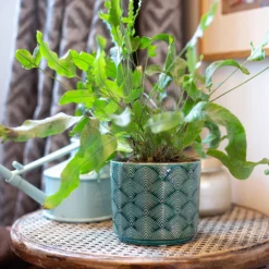 Art Deco Indoor Plant Pot - 12cm -Garden Decorations and Ornaments Store 14197411 8455024190966417